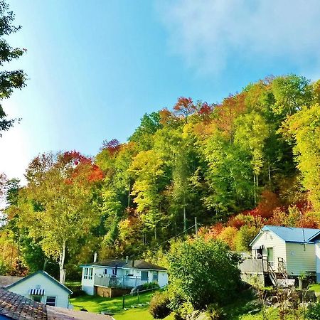 Silver Springs Cottage Resort Harcourt Екстериор снимка