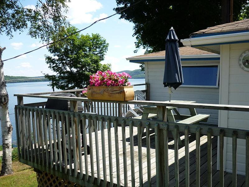 Silver Springs Cottage Resort Harcourt Екстериор снимка