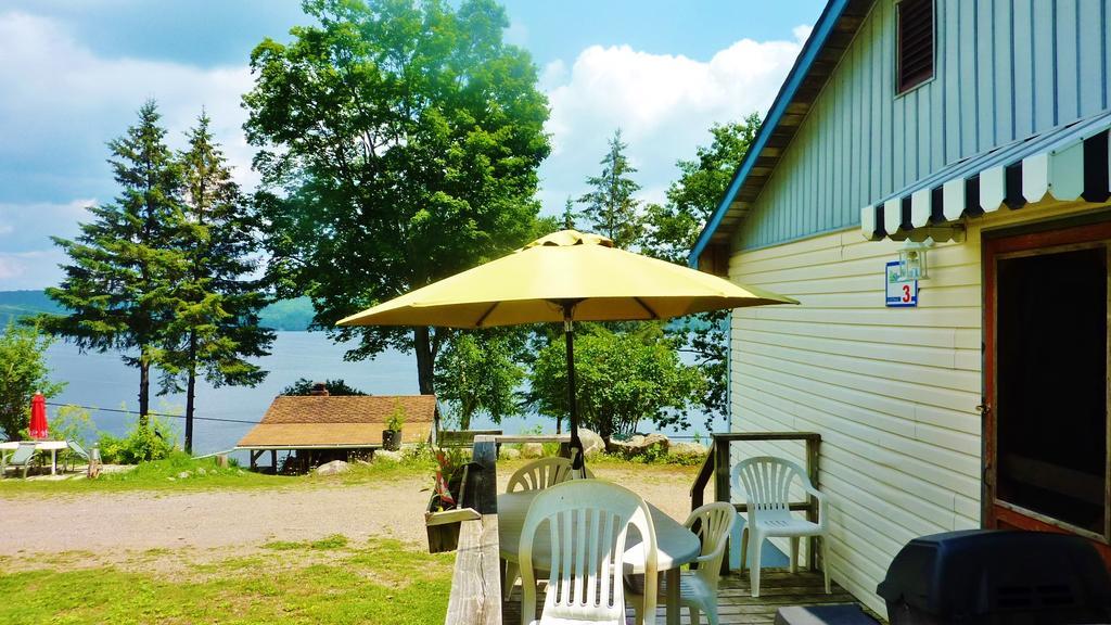Silver Springs Cottage Resort Harcourt Екстериор снимка