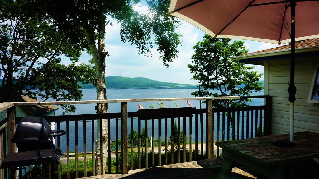 Silver Springs Cottage Resort Harcourt Екстериор снимка