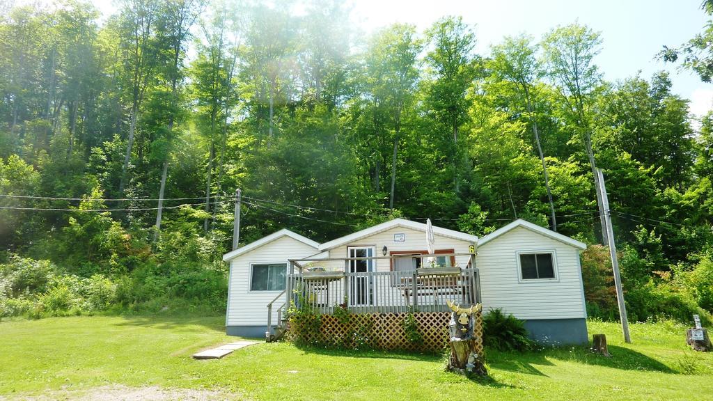 Silver Springs Cottage Resort Harcourt Екстериор снимка