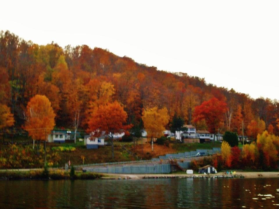 Silver Springs Cottage Resort Harcourt Екстериор снимка