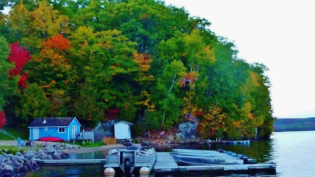 Silver Springs Cottage Resort Harcourt Екстериор снимка