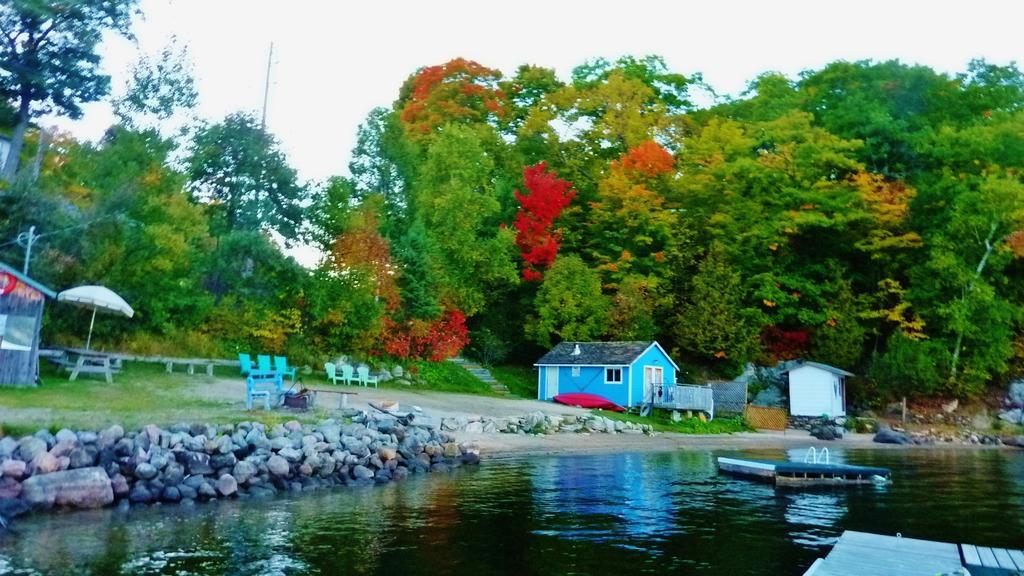 Silver Springs Cottage Resort Harcourt Екстериор снимка