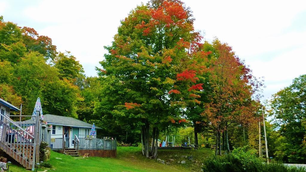 Silver Springs Cottage Resort Harcourt Екстериор снимка