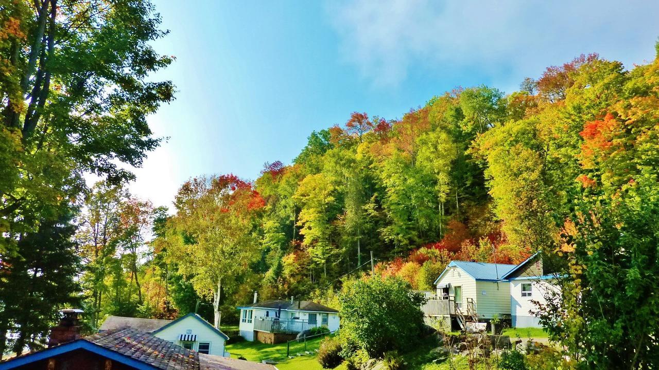 Silver Springs Cottage Resort Harcourt Екстериор снимка
